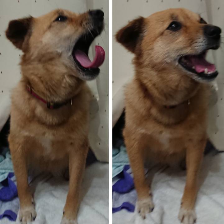 B402c9db 5f05 40aa bbbf 9cf31b8c84b4 1629643291153