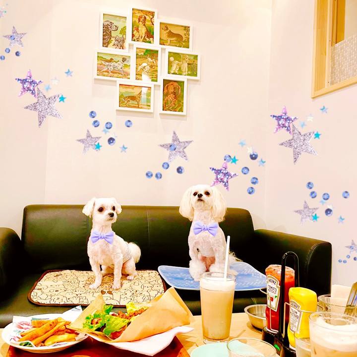 B402d029 4296 44cf 96c7 7d7f5bda46ce 1626587582340