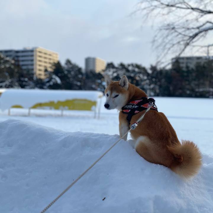 B402d93c 8664 4268 aa68 d2cf10fac330 1610681563240