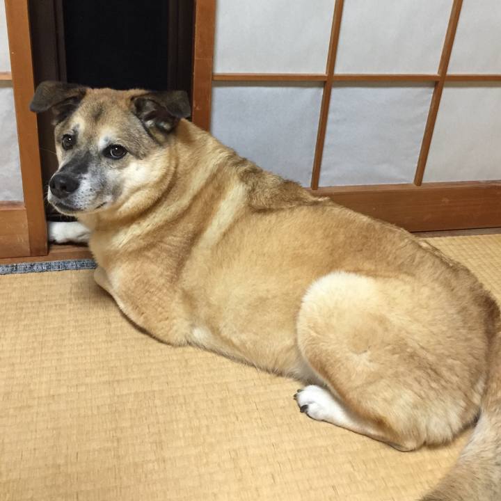 B4030207 389b 41f6 9eaa 71c1607d9591 1566993356385