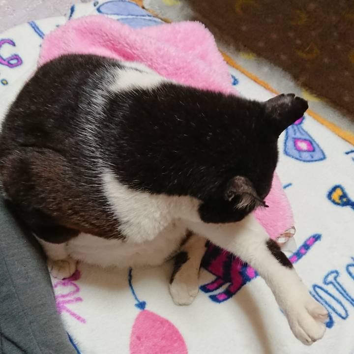 B40322bf abfc 472c b682 4deced8b6dc9 1637746168285