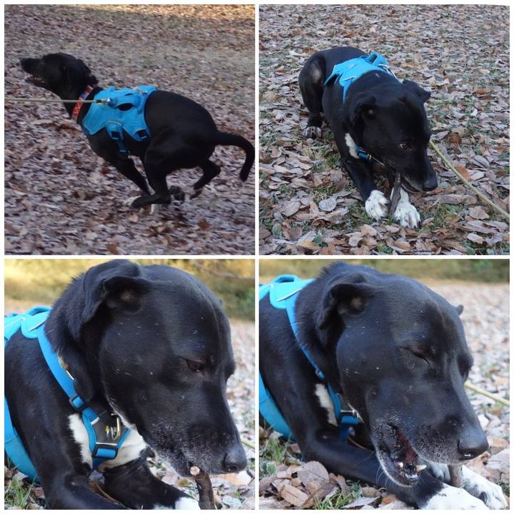 B4035999 1c81 4a35 9b4e 2a7a46f1da19 1608337509678