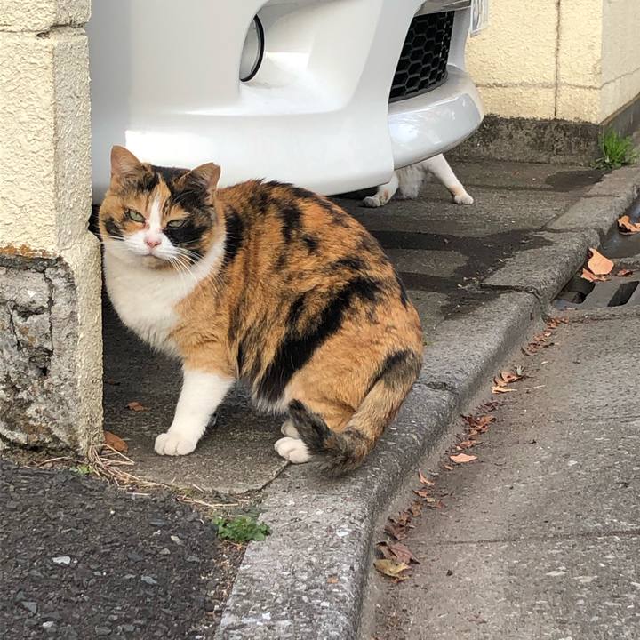 B4035ac2 9fb0 4d7d a407 48d2d135e939 1609361890520