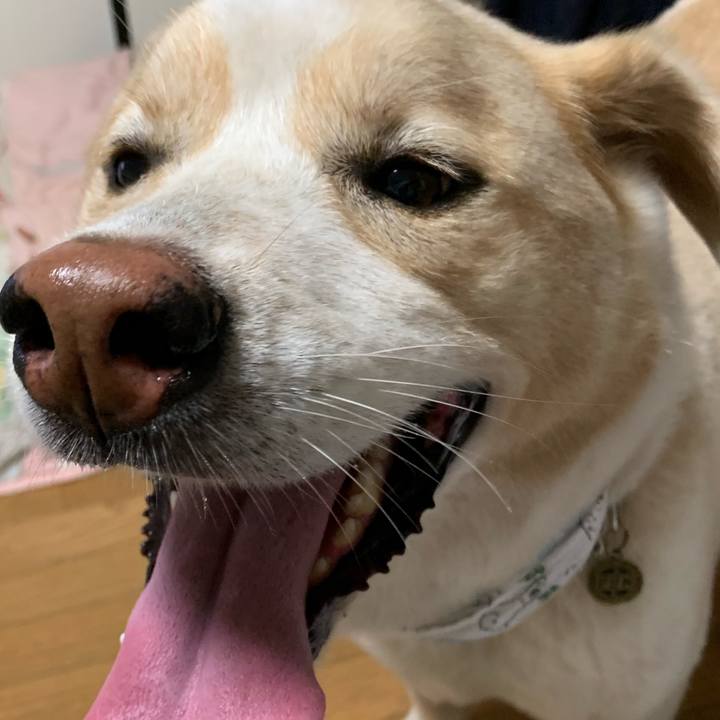 B4035ce2 2d49 407b 8a35 23ae6718355f 1567866896802