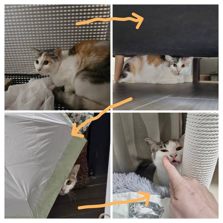 B4037d00 27d2 4cca ac09 2962a10d479a 1770166775717