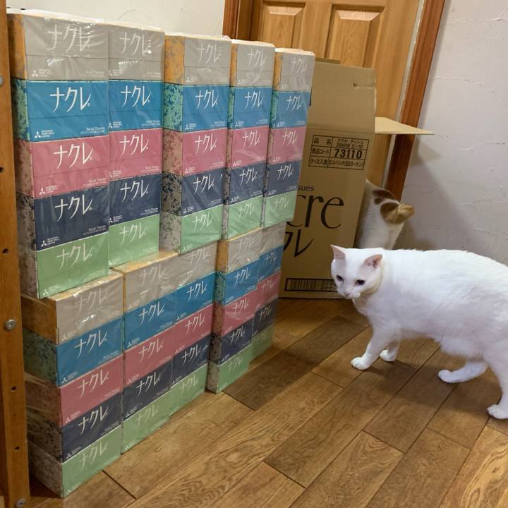 B403e43b df28 40eb 8ff2 0d8294601c77 1639061802355