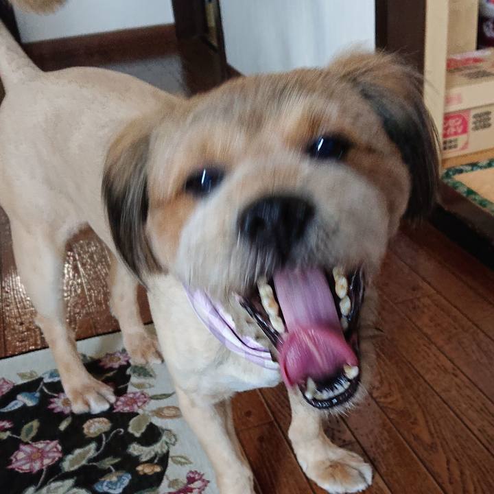 B403e71b c69e 49e5 ba82 387d5e72e8a5 1559730166938