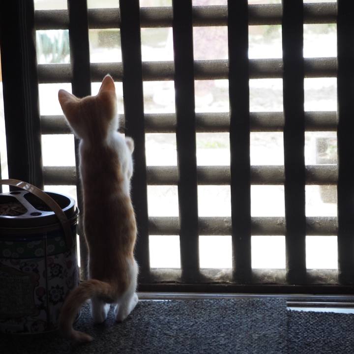 B403f39c b539 4acc bfe6 3ace9c46b544 1516937645424