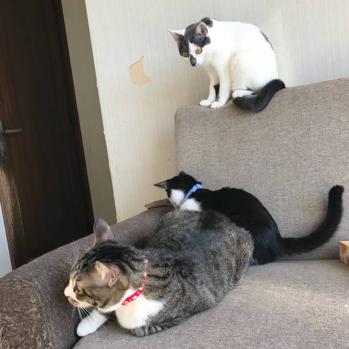 B4040534 b1e3 4ff6 a139 c039a8869582 1512177738841