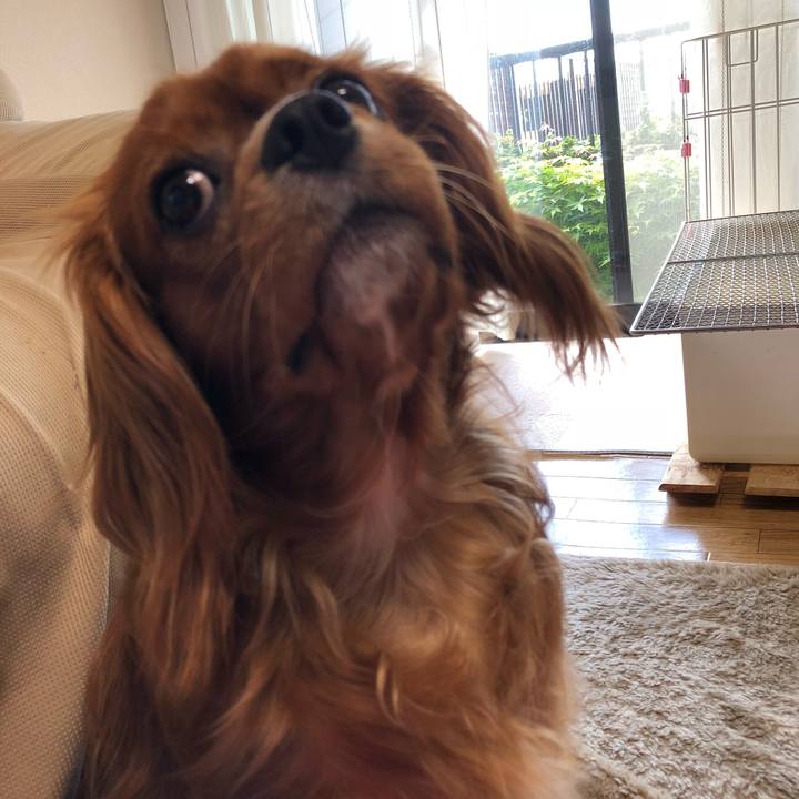 B404201d a91d 4d06 ae03 ae87c3228c7d 1525905019996