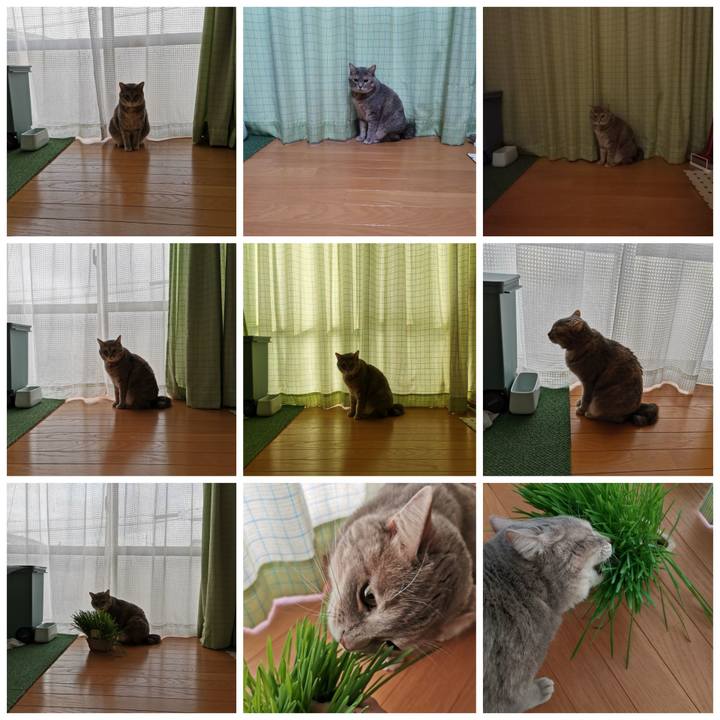 B404544a eea5 4830 8374 a904f424e5ba 1600227728439