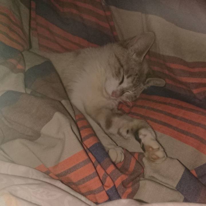 B40480ae e8b3 426a bf8b e4b4aef37c6e 1526314408838