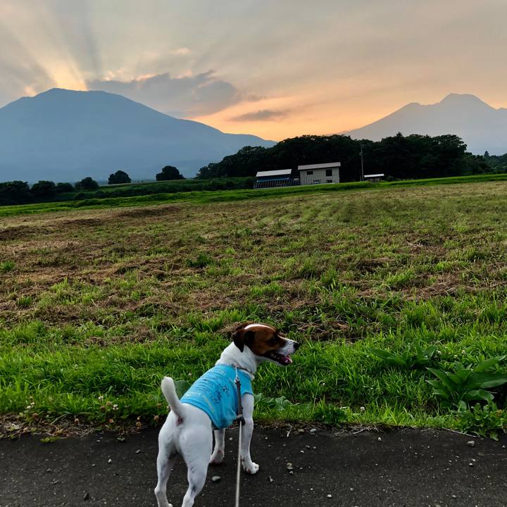 B4048e9b 6849 43bc 89b0 3842ae49bcc4 1564654904745