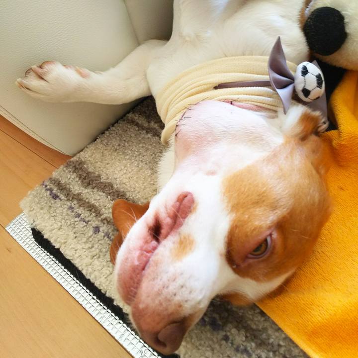 B404d121 a612 441f be9e 617c48ee2b72 1524976090826