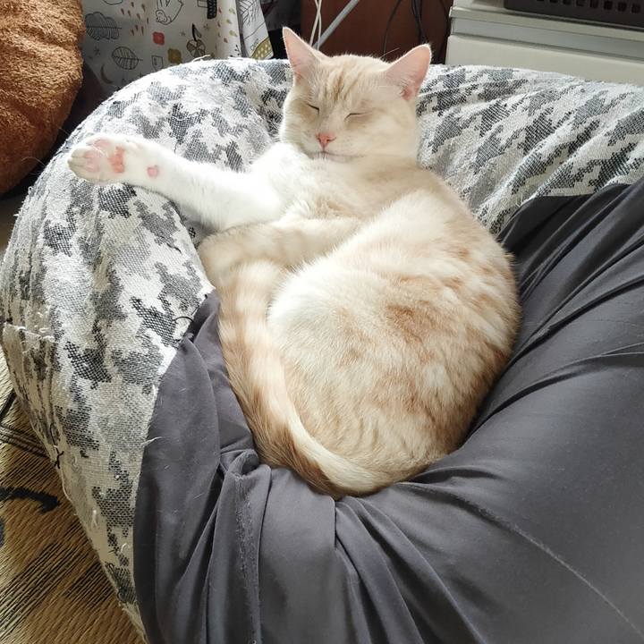 B404d843 4307 444e 90d5 775a5ced2a29 1657784735229