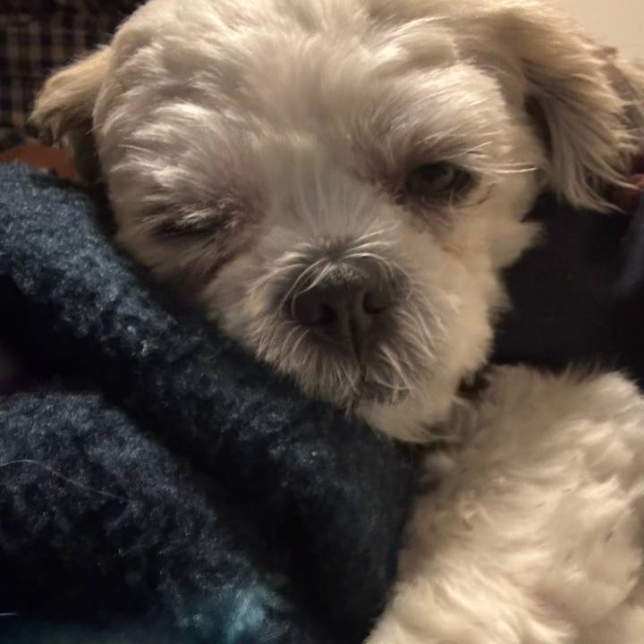 B404d8aa 04d6 4a7c 8d48 8b0cc7fd5d7a 1762465708675