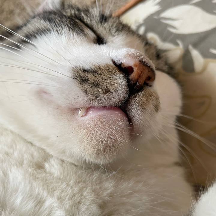 B404ef08 e50a 4889 ab09 4fc61d0dc49d 1716628224577