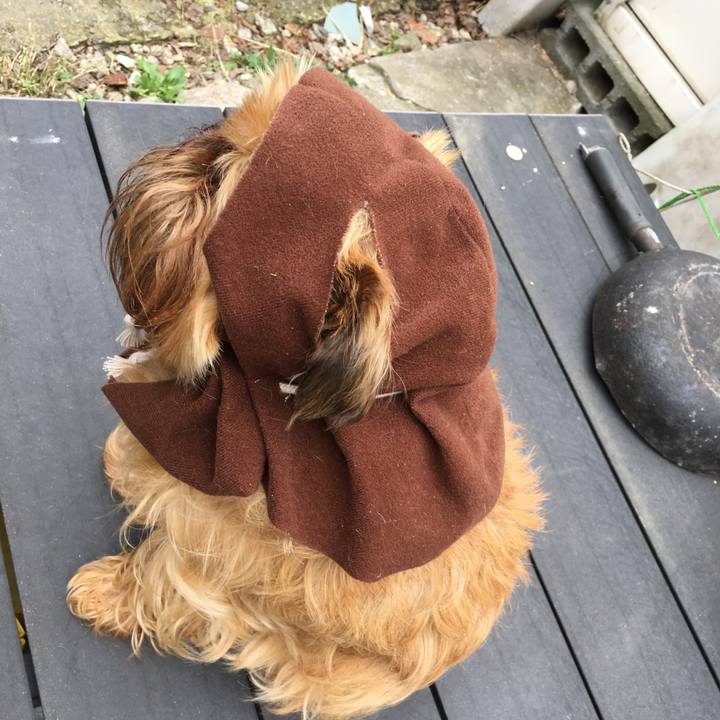 B405357a da57 46d9 ac49 b12c467db9b1 1524454588903