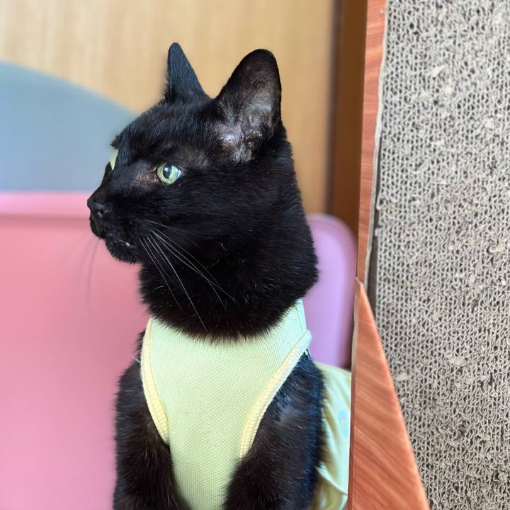 B40541af 0739 4bc0 91bc 4240eb5b86ba 1716949791347