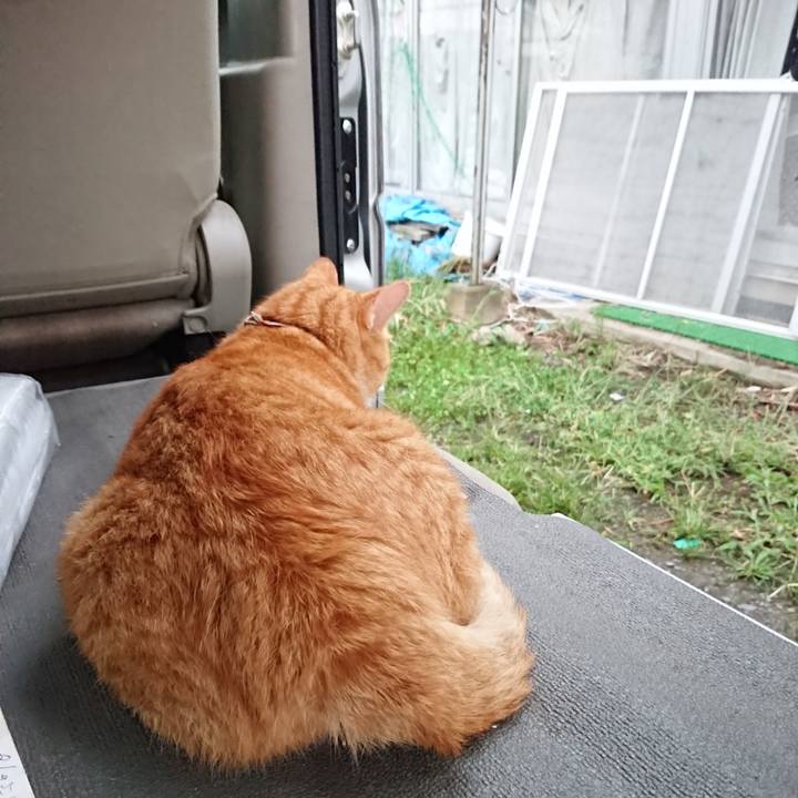 B40562de 9c92 4abc aefd c90233c560d3 1567156218026