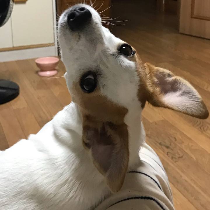 B4057a7d b890 4297 acfe b564f76d3834 1601690922848