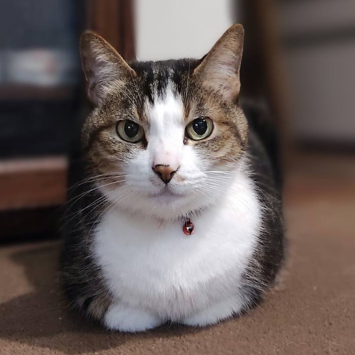 B4058178 d91a 46ff 8748 07b4c7b11318 1653390663594