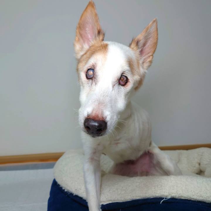 B4058f49 5c68 4cec 8581 2ada2ec02f7f 1766399539674