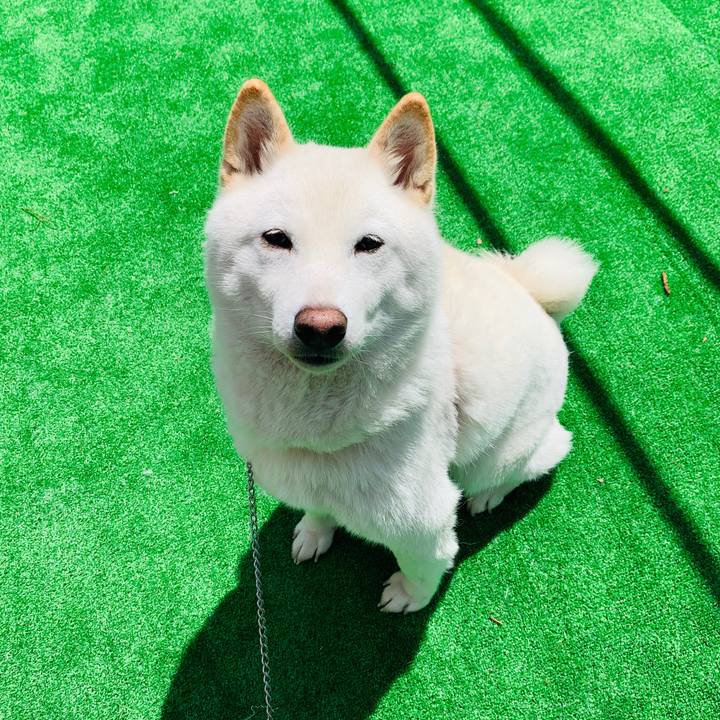 B405a97e 2316 40fd a20d 5d428f221ebb 1588485612701