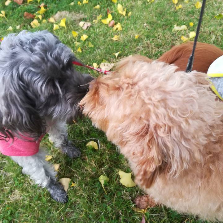 B405c411 b5f1 4c6b b058 92ed08214a52 1540686057273