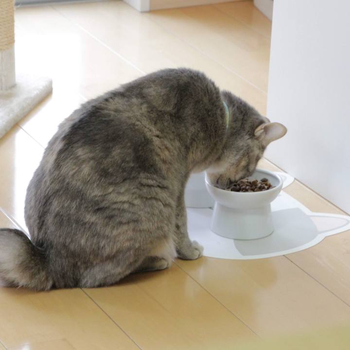 B405c478 2eca 4db1 9c1b 96b989d4a7a9 1587439984935