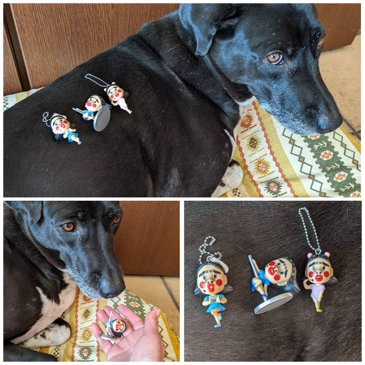 B405c7b3 a8e7 4cca 8cf7 cf6e9678d1e3 1671447912048