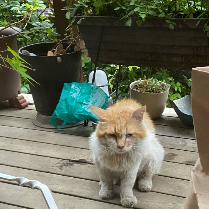 B405d196 0b3e 4595 91d5 d058ff6a2d26 1656890051084