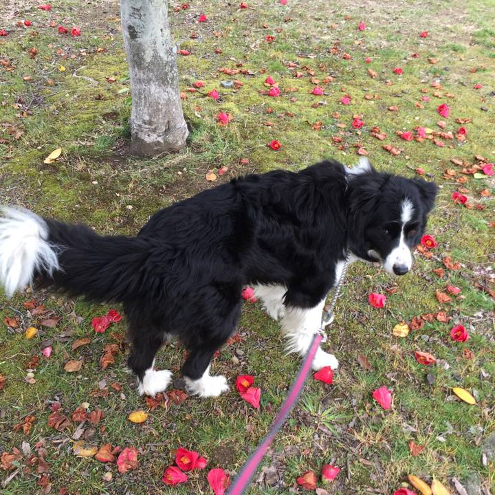 B405d873 ccbe 45d6 a36a d95e783a8d8f 1554939097626