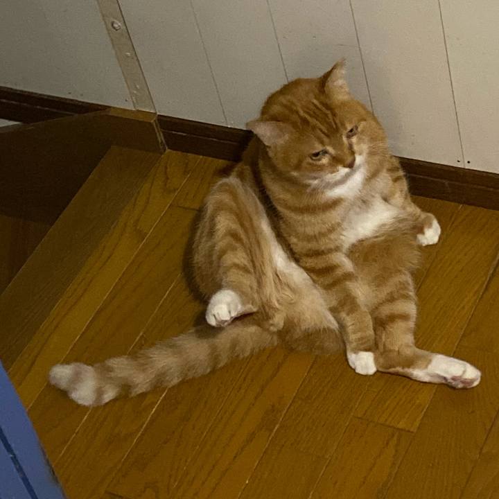 B405e35f bf9b 4178 a9fd 17a746096386 1670160215458