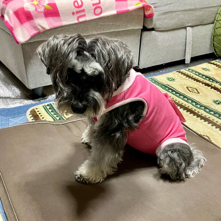 B405e936 e338 47b7 bc42 1d3ddd6a3489 1711511105502