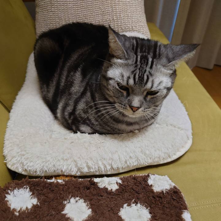 B4069208 b1c5 4855 ad1c 406597c2fd39 1607821950801