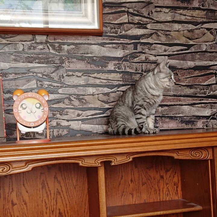 B406bb04 84f9 4f7d 89ab 9a5f89d8b0e0 1570066645410