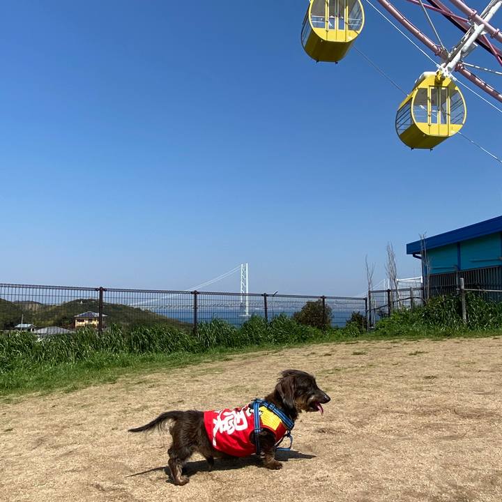 B406c51f d3d7 4ca6 b790 59e0031f29bd 1585967943889