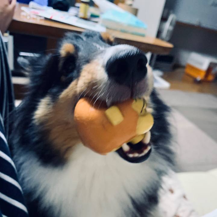 B406dc05 1eb8 4601 87e4 f378dec4f9cc 1568064965955