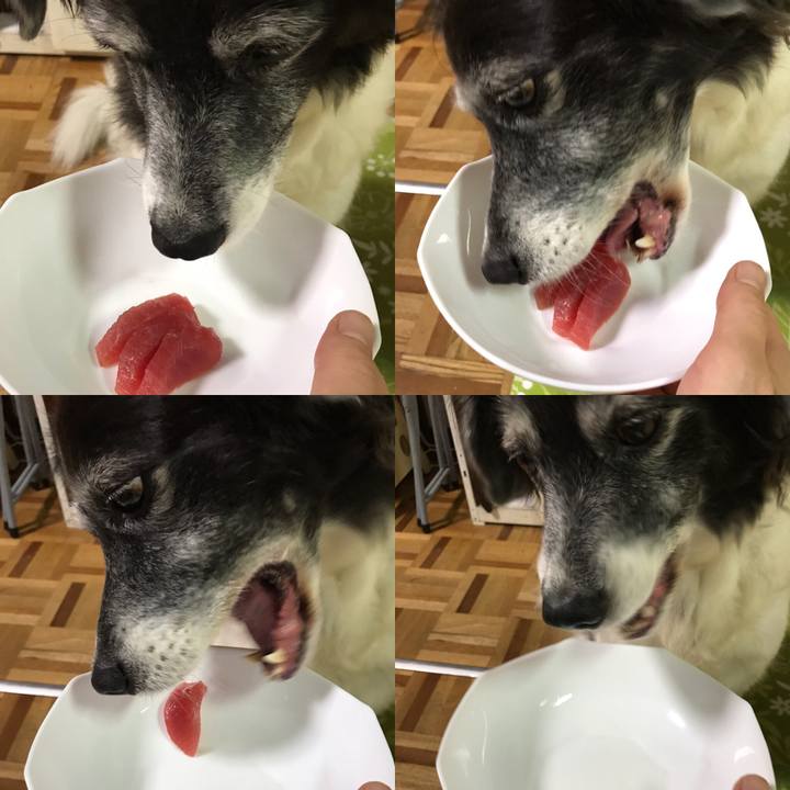 B4070248 0ec5 4add 93f7 add8e9caa5a6 1535437399599