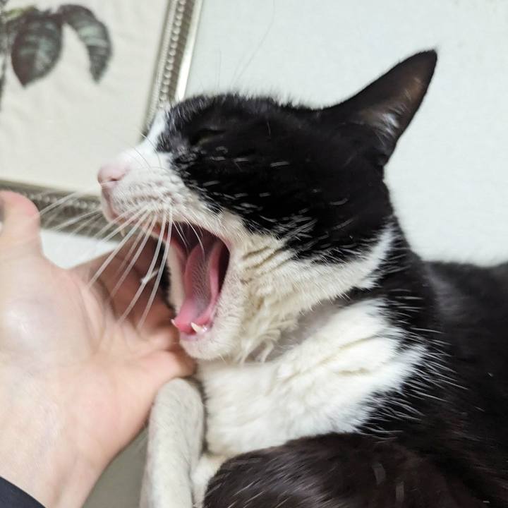 B40762d0 59c8 4b8f a954 570a3140fc90 1710474876311