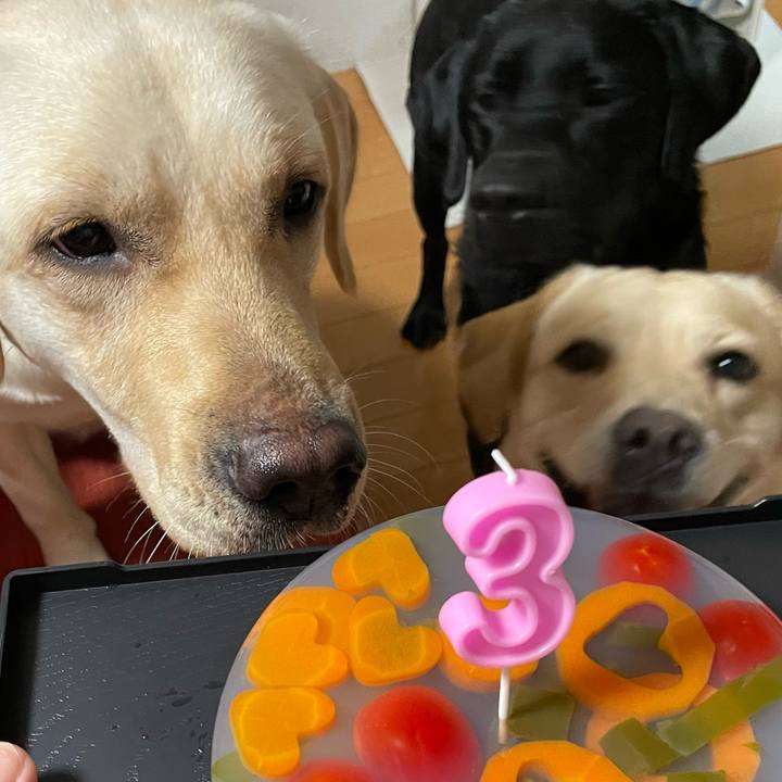 B40779c6 dc93 4151 8436 201d3a907efc 1664634444069