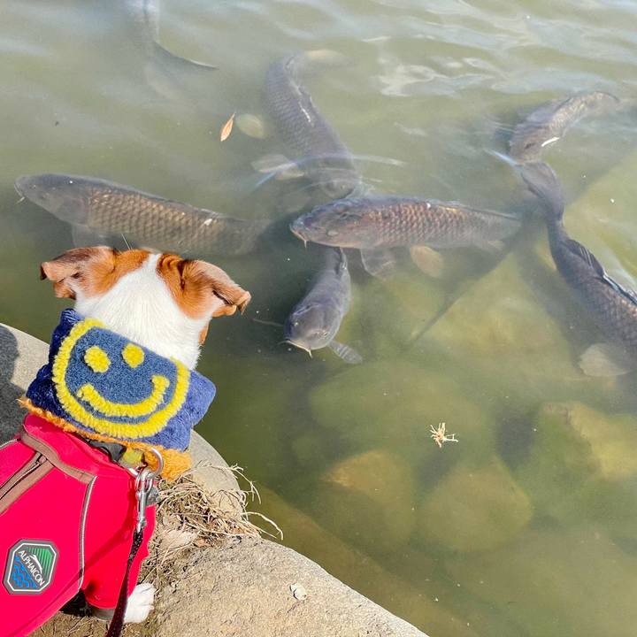 B4078276 9f76 4fc4 ba4e 82c7ce416043 1646641953426