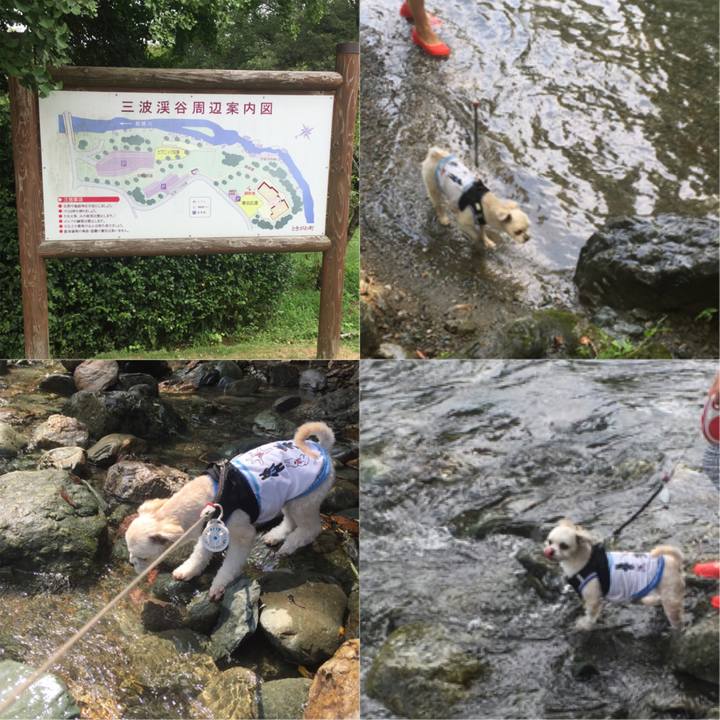 B4078e39 fed3 43e3 a730 53c80f378252 1534077653147