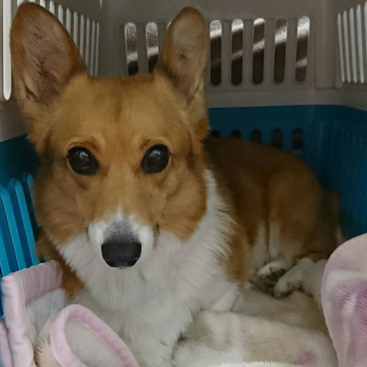 B407c13d 9b42 40a2 a658 60bc4fd347ac 1550445729208