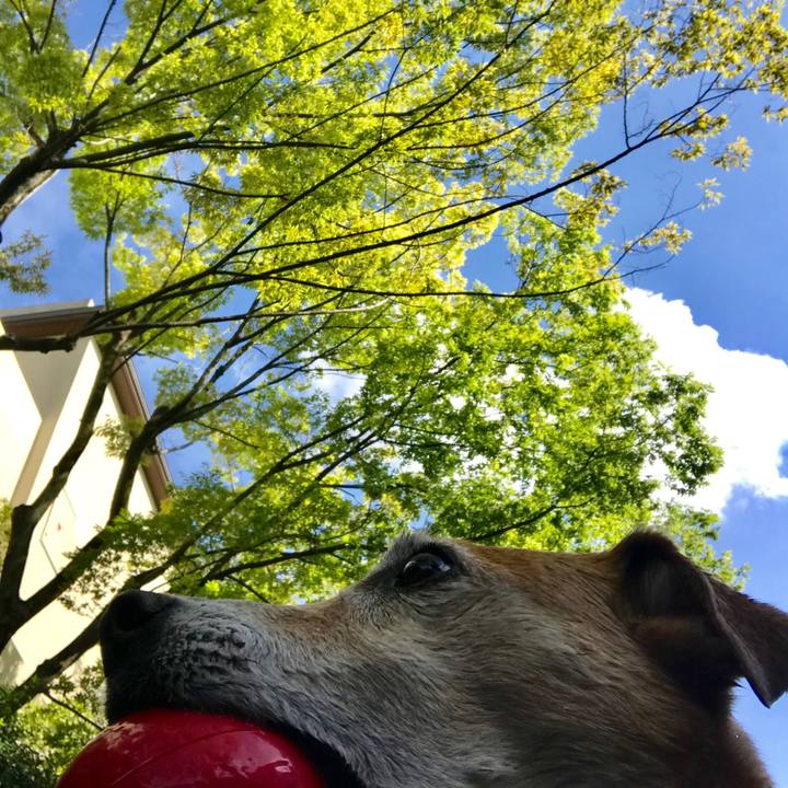 B407e988 fe32 4428 b988 d4642812794c 1565683290905