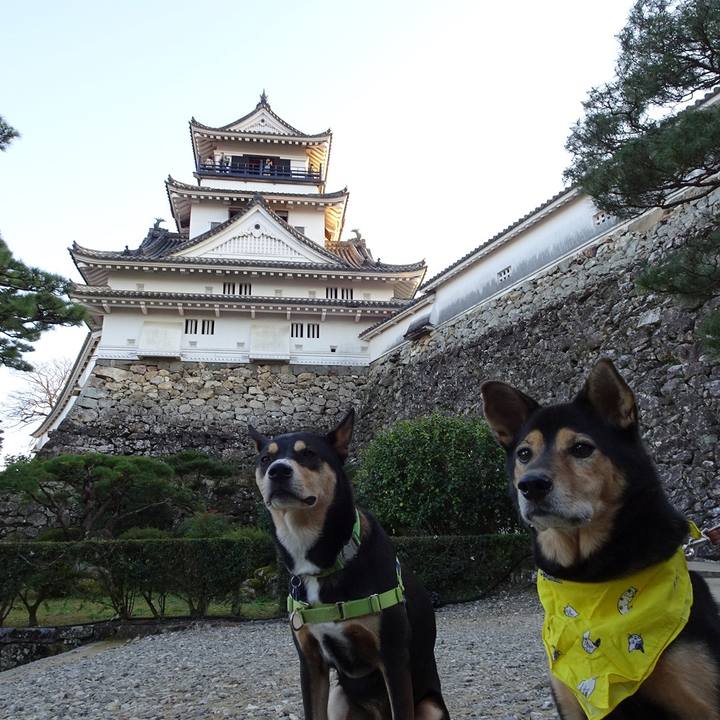 B408039d b589 450a 9119 fe11b36b6a40 1637425538825