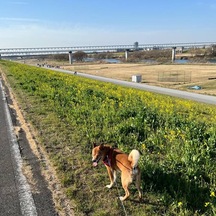 B4080a7a b4c1 482b a9fe f43ea33fa228 1677920115979