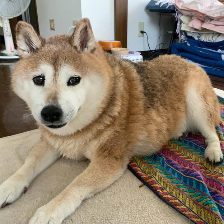 B40818df a792 40ab b77c 2ad701725618 1590288478968