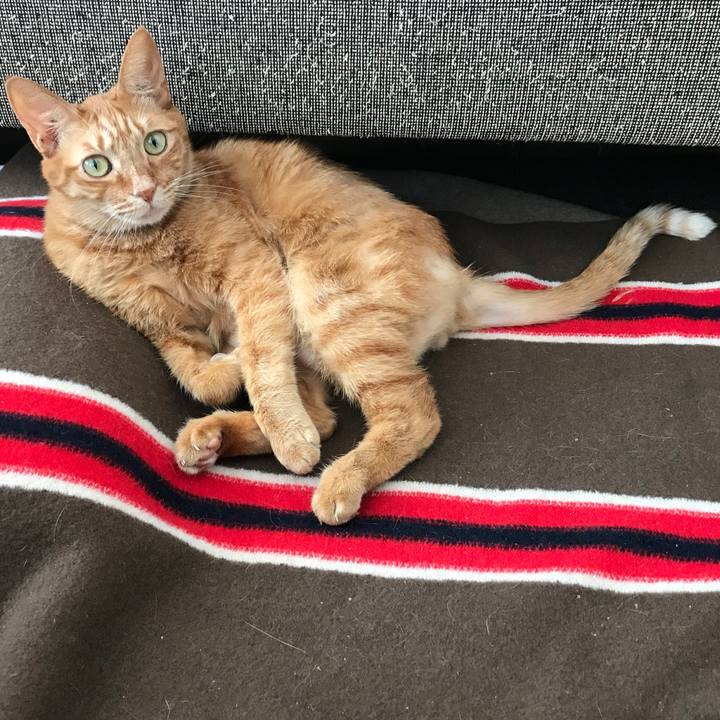 B40878fe 5c02 4bf2 b8e8 caa9505f2e37 1548656721394